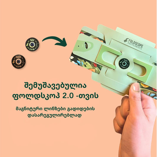 ლინზების ნაკრები